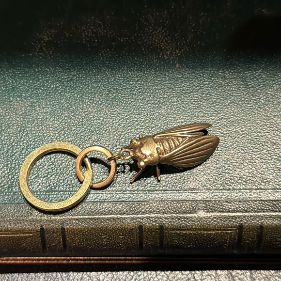 Detailed Solid Brass Cicada Keychain on Solid Brass Split Rings - Picture 4 of 10